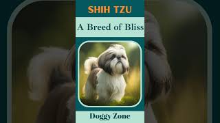 Shih Tzu: A Breed of Bliss | Dog Breeds | Dog Lovers