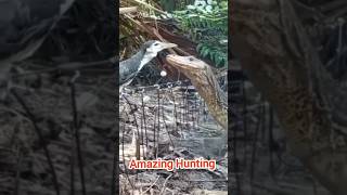 Hunting Video | #shorts #funnycomedy