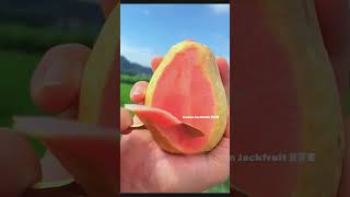 🍓🍒🍏Farm Fresh Ninja Fruit 🍎🍇🍉🍑😍 Eating Fruit yummy Oddly Satisfying Fruit Ninja #2171