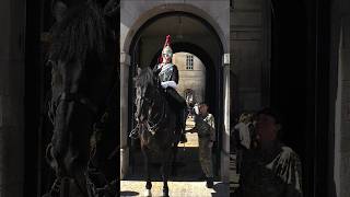 Soldier checks on Life Guards #youtubeshorts  #horseguardsparade