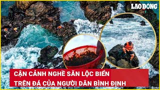 Cận cảnh nghề săn lộc biển trên đá của người dân Bình Định| Báo Lao Động