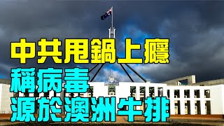 中共甩鍋上癮 稱病毒源於澳洲牛排