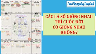 CÓ BAO NHIÊU LÁ SỐ, BAO NGƯỜI CÓ CHUNG 1 LÁ SỐ, CÁC LÁ SỐ GIỐNG NHAU CÓ CUỘC ĐỜI GIỐNG NHAU KHÔNG?