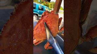 Cooking Crab for Customers!😊 #dungenesscrab #crab #seafood #seafoodcrab #waldportoregon #oregon