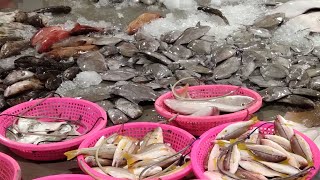 Sobrang sarap at sariwang mga isda,🥰🥰🥰@jonathansascvlog #subscribe #amazing #viral #everyone