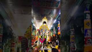 யானை வாகனத்தில் அன்னை மீனாட்சி ஏழுந்தருளல் #shortsfeed #meenakshi #meenakshiammantemple