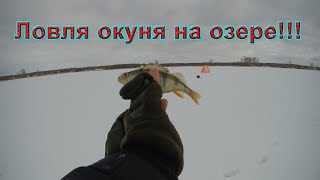 Ловля окуня на мормышку