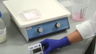 Western Blot Visual Protocol  Phase 4  Immunoblotting