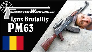 Žiga from Polenar Tactical Reviews my Lynx Brutality AK