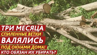 ТРИ МЕСЯЦА СПИЛЕННЫЕ ВЕТКИ ВАЛЯЛИСЬ ПОД ОКНАМИ ДОМА! КТО ОБЯЗАН ИХ УБИРАТЬ?