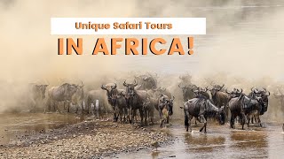 Experience the Unforgettable: 5 Must-See Safari Tours in Africa - Travel Video