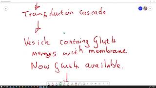 Glucose Homeostasis Flow Chart