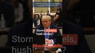 The legal logic behind Trump's 'hush money' case   Chas Licciardello explains - Part 6