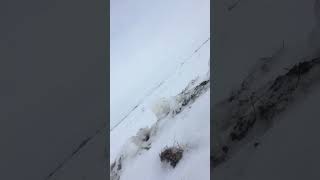 Skidooing fail