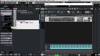 sample grupo BRINDYS para kontakt