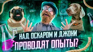 НАД ОСКАРОМ И ДЖОНИ ПРОВОДЯТ ОПЫТЫ?😰