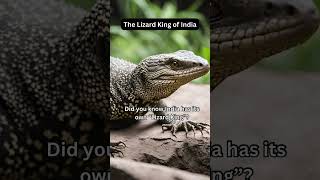 The Lizard King of India🦎🤔🧐| did you know?#dailyfacts #daily #bengalmonitorlizard