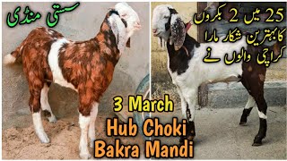 3 March. Hub Choki Bakra Mandi Latest update. Sasti Mandi. Gulabi Kamori Pateri lalukhet orangi.