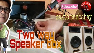 Two way speaker box||Pambahay na Sounds||Pambahay na Videoke