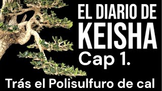 Tratamiento de Polisulfuro de Cal. El Diario de Keisha cap 1