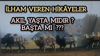 Aklın yaşı yoktur, kimse yaşlandıkça akıllanmaz.Akıllı olmanın yaşla ilgisi yoktur,