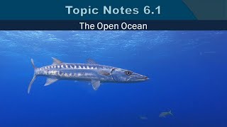 Topic Notes 6.1: Open Ocean