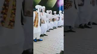 Lok virsa Desi mahol Saraiki balochi jhumar best dance Wedding Ceremony #jhumar #shorts #shortvideo