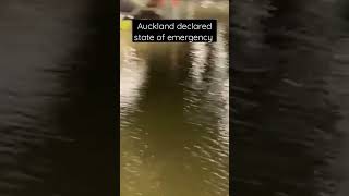 AUCKLAND DECLARED STATE OF EMERGENCY #auckland #flooding #SHORT #shortvid #youtubeshort #jaythebell