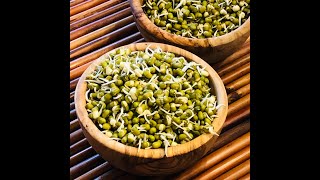 How to Sprout Mung Beans in the Instant Pot - Green gram sprouts, Moong beans sprouts, Instant Pot