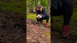 Happy feeling when you find... #matsutake #nature #mushroom #foraging #pnw #excited #joy #fyp #1k