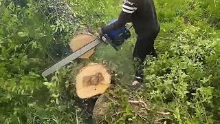 Chinese Stihl 070 Chainsaw Clone