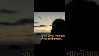 আজও আমি জীবন খুঁজি | লীনা সাহা| সোনামনি|পুরোটা শুনতে 👉 https://fb.watch/mN4PluwjrK/?mibextid=Nif5oz