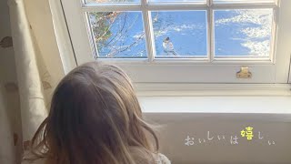 スノーマン。雪が怖い犬。雪化粧の森散歩。