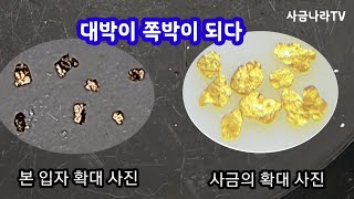 대박이 쪽박이 되다