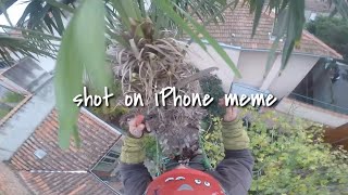 shot on iPhone | vid no. - 09 | shot on iPhone meme | status guru