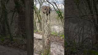 Wood works in Aysgarth