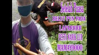 EDISI LEBARAN BELUT NGAJAK SALAMAN