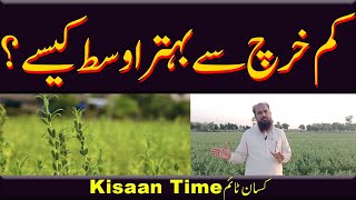 کم خرچ سے بہتر اوسط کیسے حاصل کریں؟ kam kharch se zeada paidawar kaise len؟ tili ki kasht Kisan Time