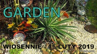 GARDEN - Wiosna w ogrodzie - 15 luty 2019