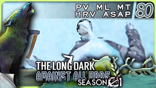 THE LONG DARK — Against All Odds 80 [S01]: PV ML MT HRV ASAP | Tales Update 4 Stalker+ [4K]