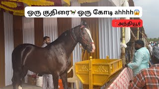 2024 பிரமாண்டமான அந்தியூர் குதிரை சந்தை 🐎🐂 | Anthiyur Gurunathasamy Festival | dr shek