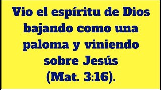 TEXTO DIARIO, LUNES 29 JULIO 2024, Vio el espíritu de Dios bajando como una paloma y viniendo sobre