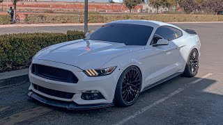 ORDERING MORE PARTS FOR MY MUSTANG! (NEW ROOF WRAP/TRIM PAINT)