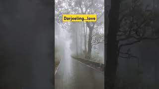 Darjeeling diary