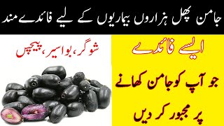 Jamun Khane ke Fayde | Benefits of Black Plum in urdu | Health Benefits of Jamun Fruit | Java Plum