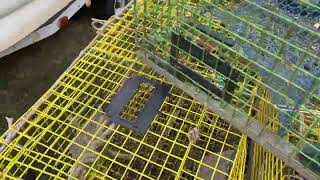 Basics of Maine lobster traps