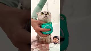 "Funny cat bath moment"🤣 #cat #spalife #pets #spaday #shorts #short #trandingshort #youtubeshorts