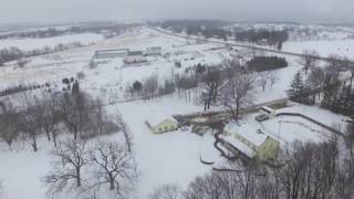 Beautiful Drone Flights in Snow and over Forest