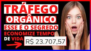 TRÁFEGO ORGÂNICO, ESSA É A MELHOR FONTE DE TRÁFEGO GRÁTIS DO MARKETING DIGITAL EM 2024.