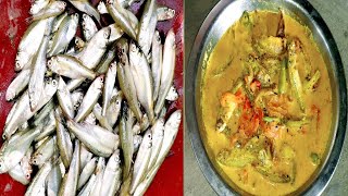 village Style Tomato🍅 & Mourala Fish Tak  !! Easy &Testy Recipe #animavillagecooking